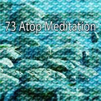 73 на вершине медитации