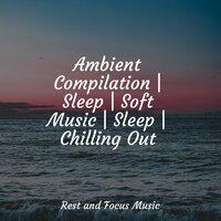 Ambient Compilation | Sleep | Soft Music | Sleep | Chilling Out
