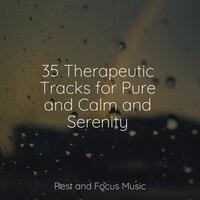 35 Therapeutic Tracks for Pure and Calm and Serenity