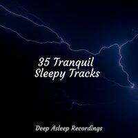 35 Tranquil Sleepy Tracks