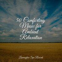50 Comforting Music for Ambient Relaxation