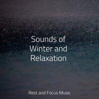Sounds of Winter and Relaxation
