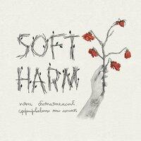 Soft Harm