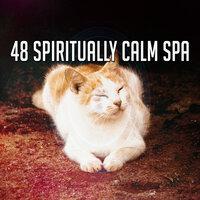 48 Spiritually Calm Spa