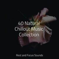 40 Natural Chillout Music Collection