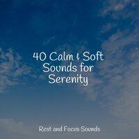40 Calm & Soft Sounds for Serenity