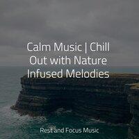 Calm Music | Chill Out with Nature Infused Melodies