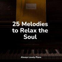 25 Melodies to Relax the Soul