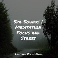 Spa Sounds | Meditation Focus and Stress