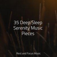 35 Deep Sleep Serenity Music Pieces
