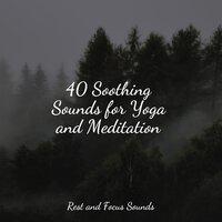 40 Soothing Sounds for Yoga and Meditation