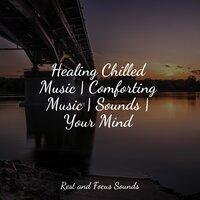 Healing Chilled Music | Comforting Music | Sounds | Your Mind