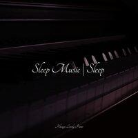 Sleep Music | Sleep