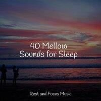 40 Mellow Sounds for Sleep