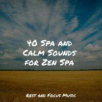 40 Spa and Calm Sounds for Zen Spa