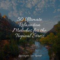 50 Ultimate Relaxation Melodies for the Tropical Stress