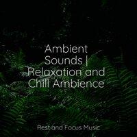 Ambient Sounds | Relaxation and Chill Ambience