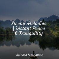 Sleepy Melodies | Instant Peace & Tranquility