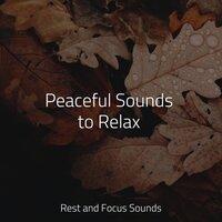 Peaceful Sounds to Relax