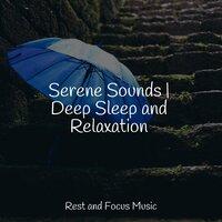 Serene Sounds | Deep Sleep and Relaxation