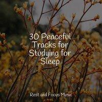 30 Peaceful Tracks for Studying for Sleep