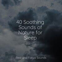 40 Soothing Sounds of Nature for Sleep