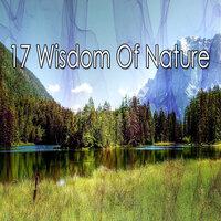 17 мудрость природы