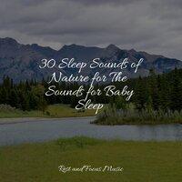 30 Sleep Sounds of Nature for The Sounds for Baby Sleep