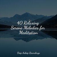 40 Relaxing Serene Melodies for Meditation
