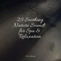 25 Soothing Nature Sounds for Spa & Relaxation