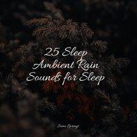 25 Sleep Ambient Rain Sounds for Sleep