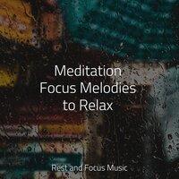 Meditation Focus Melodies to Relax