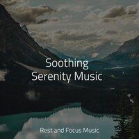 Soothing Serenity Music