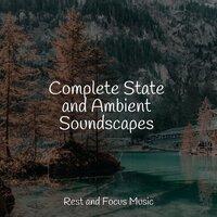 Complete State and Ambient Soundscapes