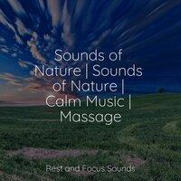Sounds of Nature | Sounds of Nature | Calm Music | Massage