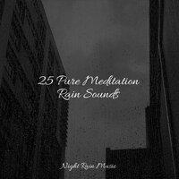 25 Pure Meditation Rain Sounds