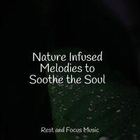 Nature Infused Melodies to Soothe the Soul