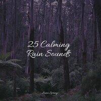 25 Calming Rain Sounds