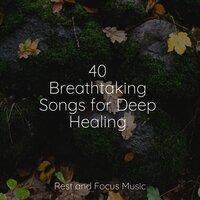 40 Breathtaking Songs for Deep Healing