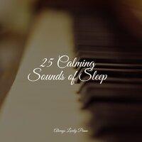 25 Calming Sounds of Sleep
