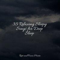 35 Relaxing Sleepy Songs for Deep Sleep