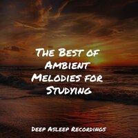 The Best of Ambient Melodies for Studying
