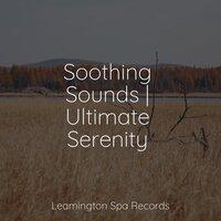 Soothing Sounds | Ultimate Serenity