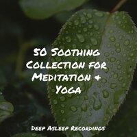 50 Soothing Collection for Meditation & Yoga