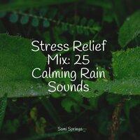 Stress Relief Mix: 25 Calming Rain Sounds