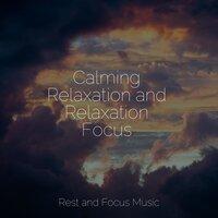 Calming Relaxation and Relaxation Focus