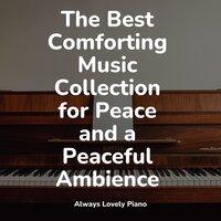 The Best Comforting Music Collection for Peace and a Peaceful Ambience