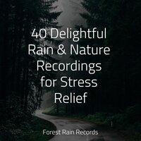 40 Delightful Rain & Nature Recordings for Stress Relief