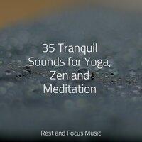 35 Tranquil Sounds for Yoga, Zen and Meditation