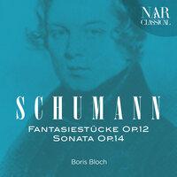 Robert Schumann: Fantasiestücke Op. 12 - Sonata Op. 14
